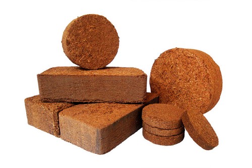 cocopeat block